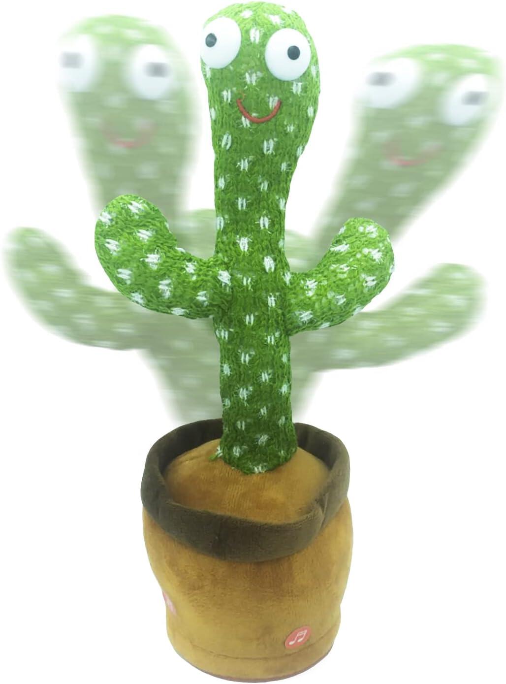 KORO CACTUS BAILARIN