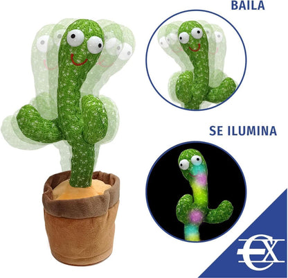 KORO CACTUS BAILARIN
